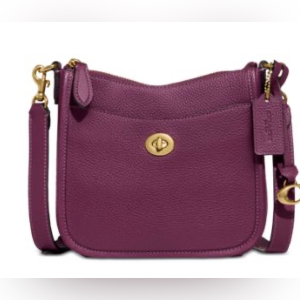 Coach Chaise 19 Crossbody Pebble Leather Bag